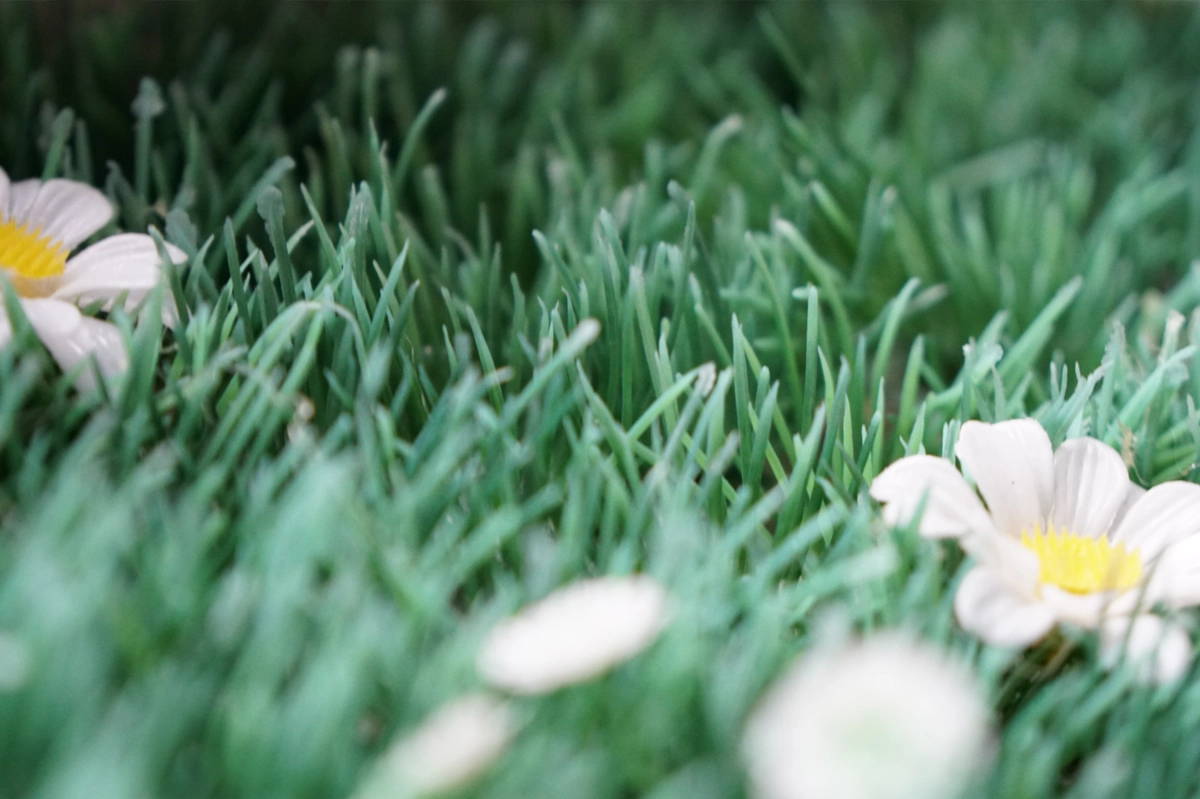 Natur? Nor really by Eilert Behrends